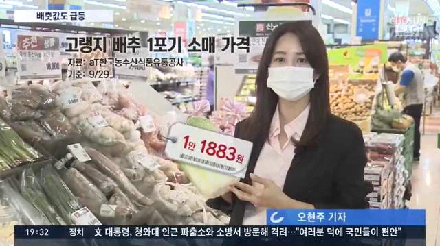 食品輸送帶廠家：韓國大白菜漲價至62元一棵怎么回事